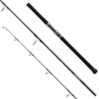 Immagine di Daiwa 21 Saltiga C 85-8 Cast Wt. 160g Line: Pe Max #8