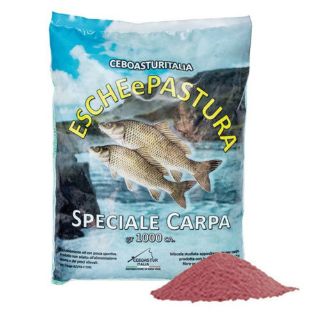 Immagine di Ceboasturitalia Pastura Speciale Carpa 1000gr. FRAGOLA