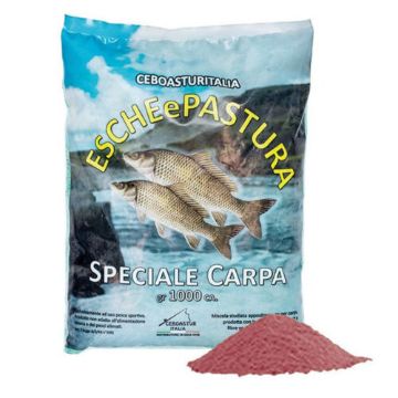 Immagine di Ceboasturitalia Pastura Speciale Carpa 1000gr. FRAGOLA