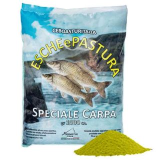 Immagine di Ceboasturitalia Pastura Speciale Carpa 1000gr. VANIGLIA