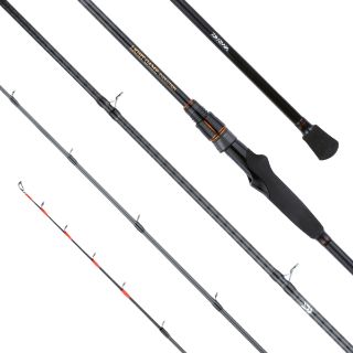 Immagine di Daiwa Lightgame X Evolution 2,10m 375gr max