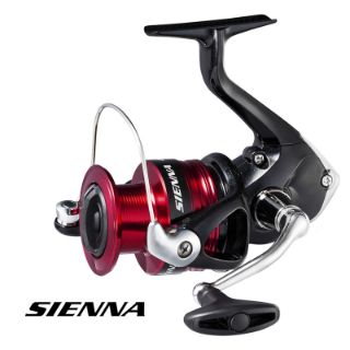 Immagine di Shimano Sienna FG