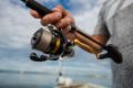 Immagine di Daiwa  23 Legalis LT