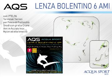 Immagine di AQS Ami legati Line.0.70mm Branch 0.50mm Hook.1/0 Ami 6