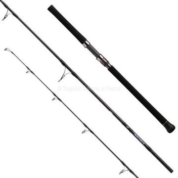 Immagine di Daiwa 25 Outrage 8' 80g Line: Pe Max #4