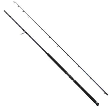 Immagine di Savage Gear SG2 Defiance Shore Jigging