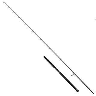 Immagine di Savage Gear  SG2  Defiance Offshore 