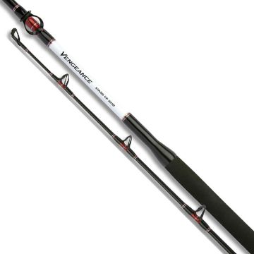 Immagine di Shimano Vengeance Stand Up