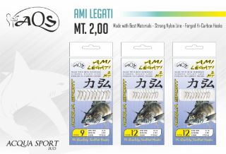 Immagine di AQS Ami legati Line.0.25mm Hook.06 2Mt 10 Ami