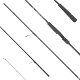 Immagine di Daiwa 26 Saltiist 2,59m 10-40gr