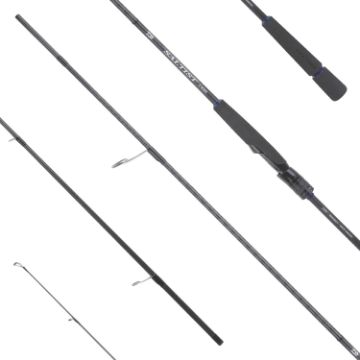 Immagine di Daiwa 26 Saltiist 2,59m 10-40gr