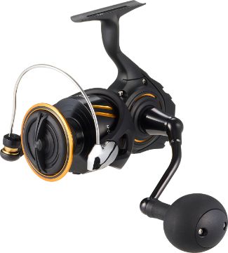 Immagine di Daiwa 26 BG SW 6000H